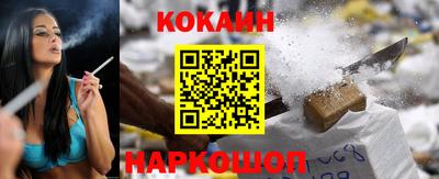стаф Донской