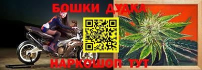 стаф Донской