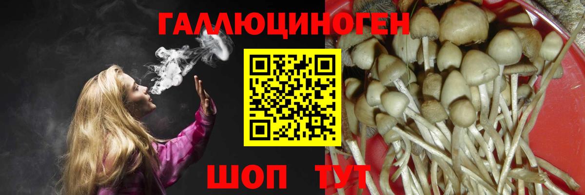 Галлюциногенные грибы GOLDEN TEACHER  даркнет сайт  Лабинск  Вход с VPN 